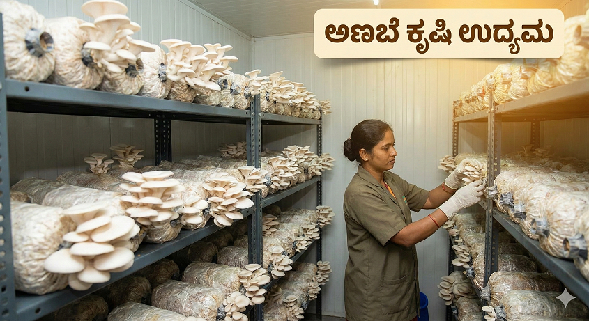 ಅಣಬೆ ಕೃಷಿ: ಸಣ್ಣ ಹೂಡಿಕೆಯಲ್ಲಿ ದೊಡ್ಡ ಆದಾಯ ಗಳಿಸುವ ಸುಲಭ ದಾರಿ