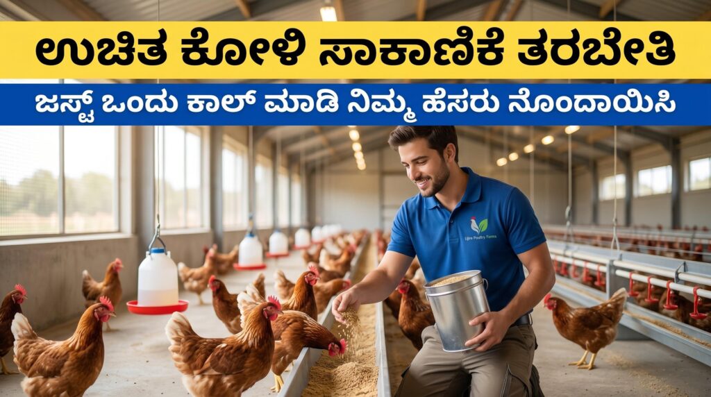 free poultry farming training